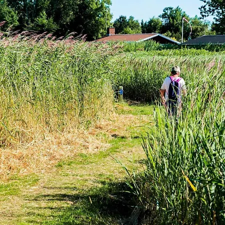 4 Person In Nyaraló *