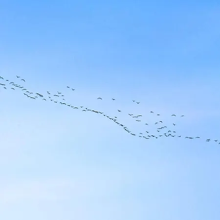 Nyaraló 4 Person In Hadsund